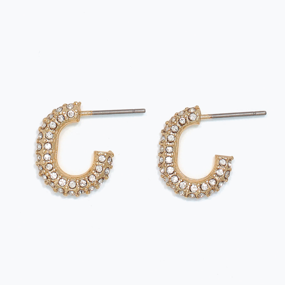 Earrings-Gold Hoops with Crystals