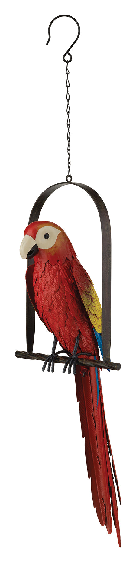 Macaw Parrot on Swing