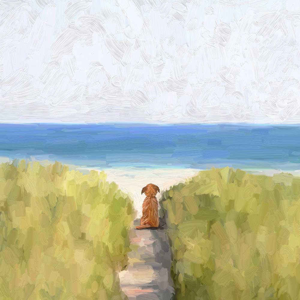 A Quiet Day At The Beach Stretched Canvas