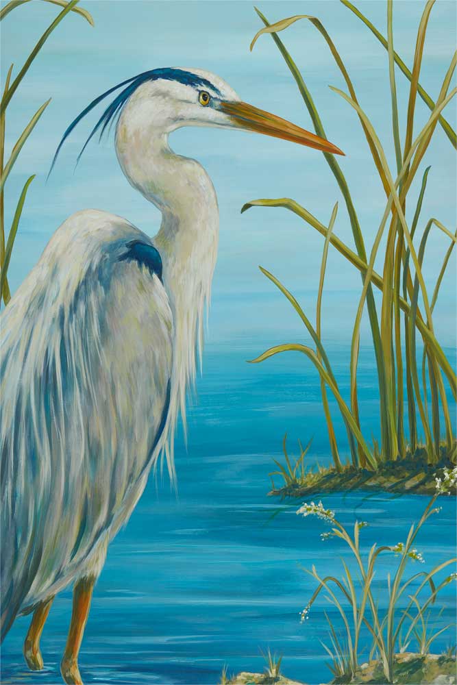 Wetland Blue Heron Stretched Canvas