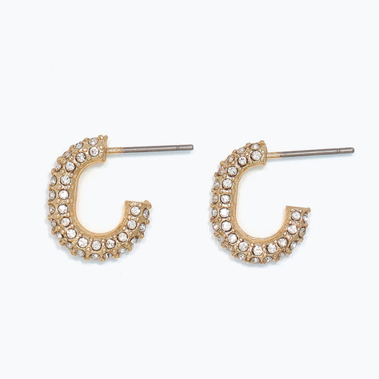 Earrings-Gold Hoops with Crystals