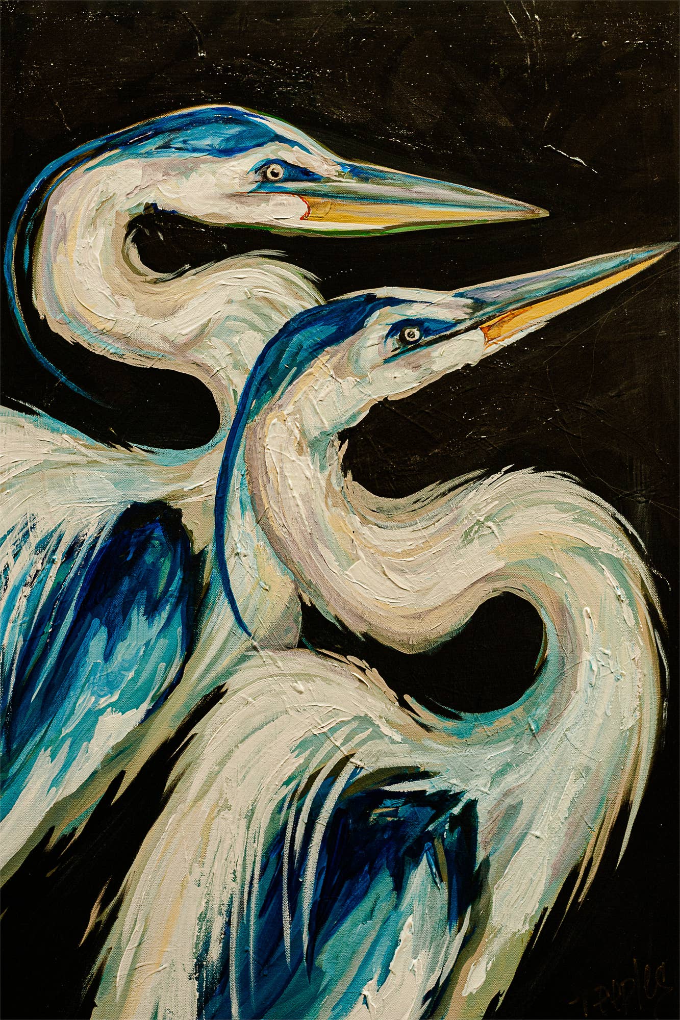 Nesting Herons Stretched Canvas